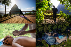 Create Listing: LÉVÉ WELLNESS DAY