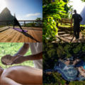 Create Listing: LÉVÉ WELLNESS DAY